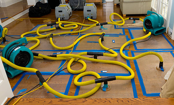 Professional Crawl Space Water Removal technician working in East Bernard, TX